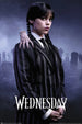 Poster Wednesday Season 2 1 61x91 5cm GPE6004 | Yourdecoration.fr