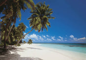 Komar Maldives Papier Peint 388x270cm | Yourdecoration.fr