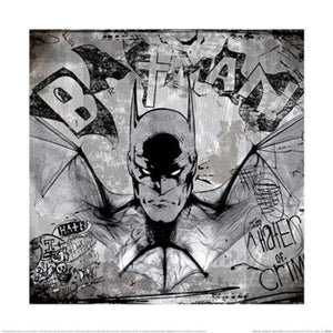 Affiche Art Wb100 Batman Hater Of Crime 40x40cm Pyramid PPR55139 | Yourdecoration.fr
