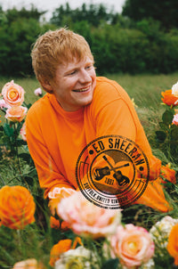 Affiche Poster Ed Sheeran Rose Field 61x91 5cm Abystyle GBYDCO396 | Yourdecoration.fr