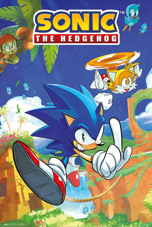 Affiche Poster Sonic The Hedgehog And Tails xcm Grupo Erik GPE5798 | Yourdecoration.fr