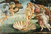 Affiche et Poster The Birth Of Venus 91 5x61cm Grupo Erik GPE5803 | Yourdecoration.fr