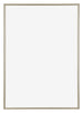 Annecy Plastique Cadre Photo 42x59 4cm A2 Champagne De Face | Yourdecoration.fr