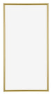 Annecy Plastique Cadre Photo 45x80cm Or De Face | Yourdecoration.fr