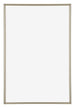 Annecy Plastique Cadre Photo 60x85cm Champagne De Face | Yourdecoration.fr