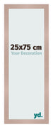 Cadre Photo 25x75 cm Rose Ancien MDF Bologna De Face Mesure | Yourdecoration.fr