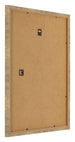 Cadre Photo 28x35cm Or Antique MDF Bologna Arriere Oblique | Yourdecoration.fr