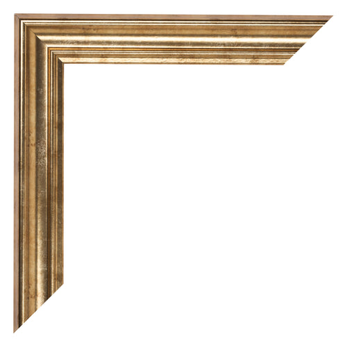 Cadre Photo 50x100cm Or Antique MDF Lazio Detail Coin | Yourdecoration.fr