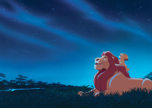 Disney The Lion King Stargazing Papier Peint DX7 197 | Yourdecoration.fr