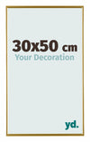 Evry Plastique Cadre Photo 30x50cm Or De Face Mesure | Yourdecoration.fr