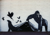 Affiche Art Banksy - Gorilla London Zoo 70x50cm