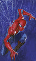 Marvel Spider Man Spider Papier Peint DX3 210 | Yourdecoration.fr