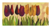 PGM CGC 14 Carlos Gomez Carpintero Tulipa II Affiche Art 54x30cm | Yourdecoration.fr