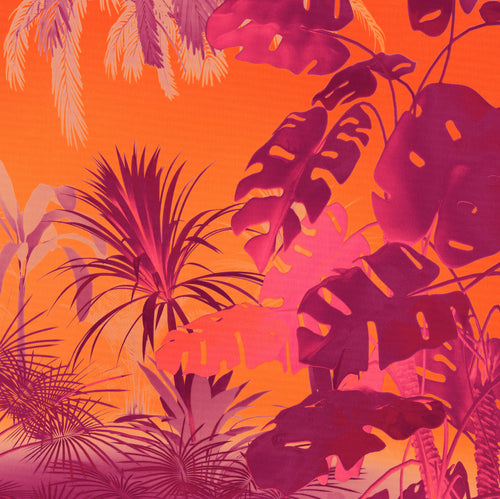 Papier Paint Funky Jungle 250x250cm Komar FLX5 049 | Yourdecoration.fr