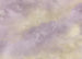 Papier Paint Lavender clouds 350x250cm FLX7 009 | Yourdecoration.fr