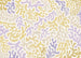 Papier Paint Sage Flip 350x250cm FLX7 016 | Yourdecoration.fr