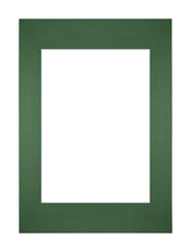 Passe Partout 21x29 7cm A4 A5 Carton Vert Foret Bord Droit De Face | Yourdecoration.fr
