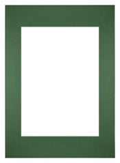 Passe Partout 59 4x84cm A1 A2 Carton Vert Foret Bord Droit De Face | Yourdecoration.fr