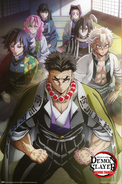 Poster Demon Slayer Hashira Training 1 61x91 5cm GPE6072 | Yourdecoration.fr