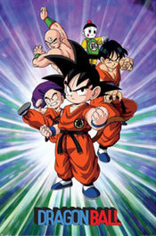 Poster Dragon Ball Group 61x91 5cm PP2501612 | Yourdecoration.fr