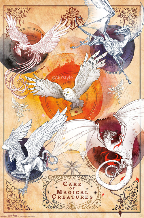Poster Harry Potter Magical Creatures 61x91 5cm GBYDCOA031 | Yourdecoration.fr