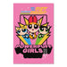 Poster Powerpuff Girls 61x91 5cm GPE5965 | Yourdecoration.fr