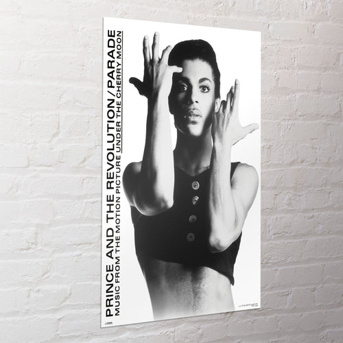 Poster Prince 61x91 5cm WPSX056 Sfeer | Yourdecoration.fr