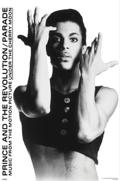 Poster Prince 61x91 5cm WPSX056 | Yourdecoration.fr