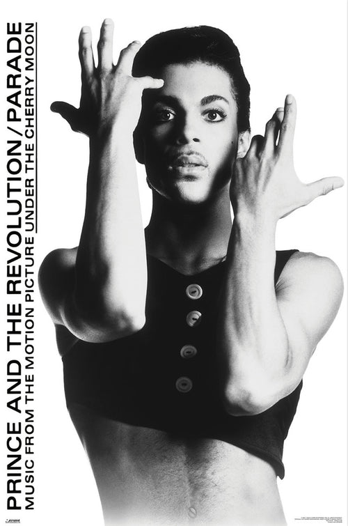 Poster Prince 61x91 5cm WPSX056 | Yourdecoration.fr