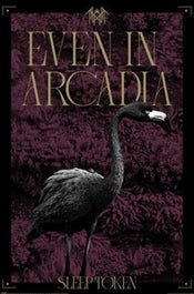 Poster Sleep Token Arcadia 61x91 5cm PP2501072 | Yourdecoration.fr