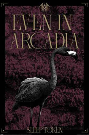 Poster Sleep Token Arcadia 61x91 5cm PP2501072 | Yourdecoration.fr