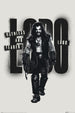 Poster Supergirl Movie Lobo 61x91 5cm PP2512028 | Yourdecoration.fr