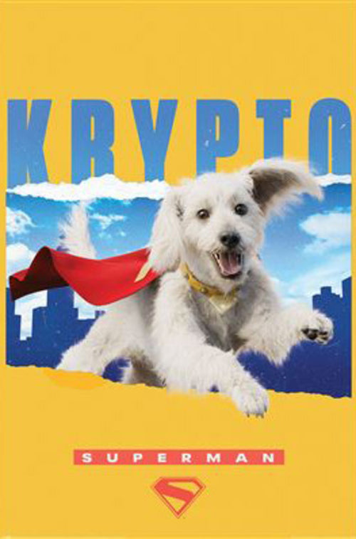 Poster Superman Krypto 61x91 5cm PP2500425 | Yourdecoration.fr