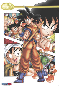Dragon Ball Db Son Goku Story Affiche 61X91 5cm | Yourdecoration.fr