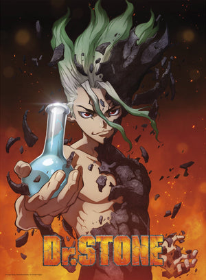 Dr Stone Senku Affiche 38X52cm | Yourdecoration.fr