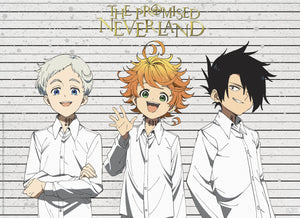 The Promised Neverland Mug Shots Affiche 52X38cm | Yourdecoration.fr