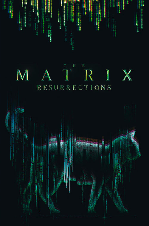 Abystyle Abydco864 The Matrix Cat Affiche Poster 61x91,5cm | Yourdecoration.fr