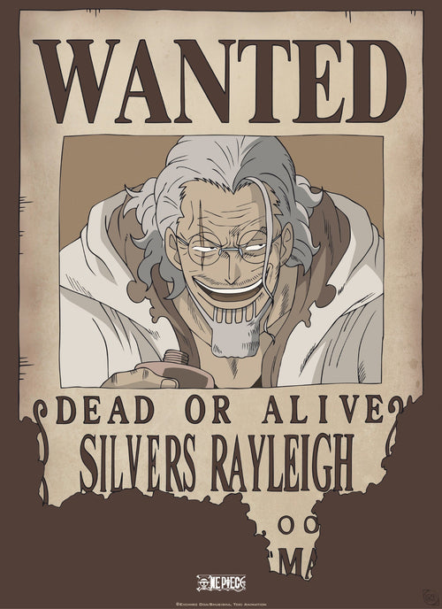 Abystyle Gbydco268 One Piece Wanted Rayleigh Affiche Poster 38x52cm | Yourdecoration.fr