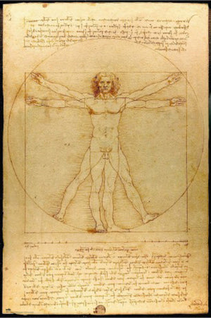 Poster Vitruvian Man 61x91 5cm Grupo Erik GPE5819 | Yourdecoration.fr