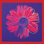 Andy Warhol  Daisy 1982 affiche art 90x90cm | Yourdecoration.fr
