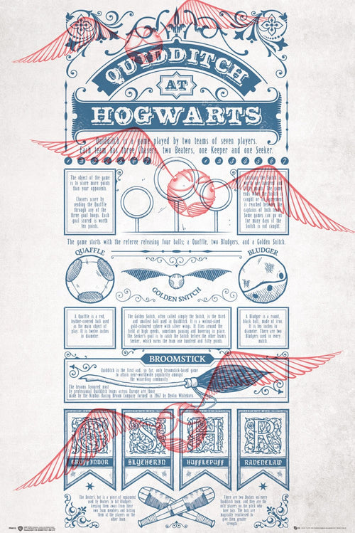 Gbeye Harry Potter Quidditch At Hogwarts Affiche 61X91 5cm | Yourdecoration.fr