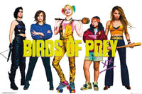 GBeye Birds of Prey Group Affiche 91,5x61cm | Yourdecoration.fr