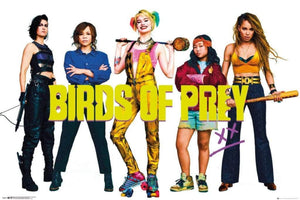 GBeye Birds of Prey Group Affiche 91,5x61cm | Yourdecoration.fr