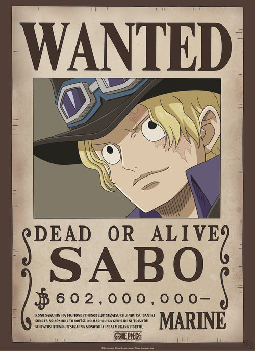 Gbeye Gbydco260 One Piece Wanted Affiche Poster 38x52cm | Yourdecoration.fr