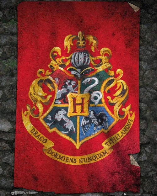 GBeye Harry Potter Hogwarts Flag Affiche 40x50cm | Yourdecoration.fr