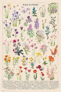 Grupo Erik Gpe5675 Botanical Wild Flowers Affiche Poster 61x91 5cm | Yourdecoration.fr