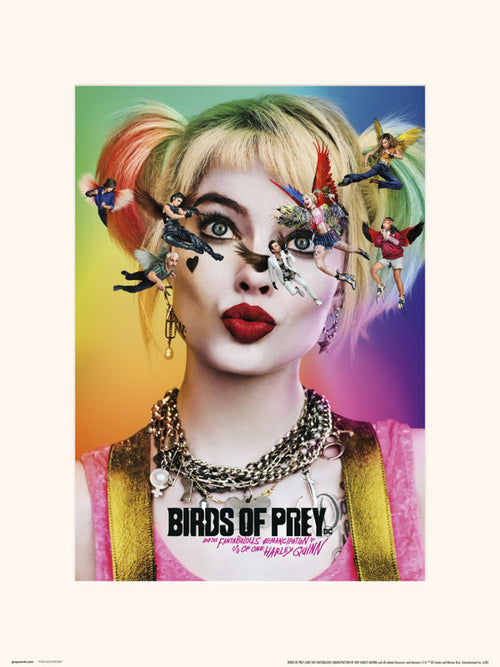 Grupo Erik Birds Of Prey Dazed And Confused Affiche Art 30X40cm | Yourdecoration.fr