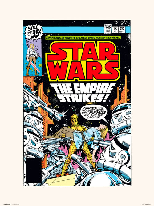 Grupo Erik Star Wars 18 The Empire Strikes Affiche Art 30X40cm | Yourdecoration.fr