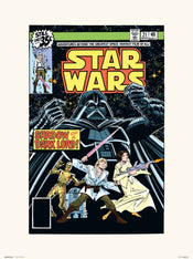Grupo Erik Star Wars 21 Shadow Of A Dark Lord Affiche Art 30X40cm | Yourdecoration.fr