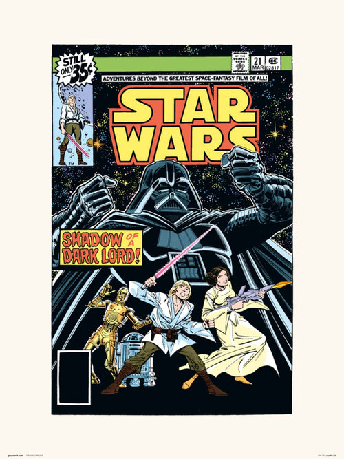 Grupo Erik Star Wars 21 Shadow Of A Dark Lord Affiche Art 30X40cm | Yourdecoration.fr